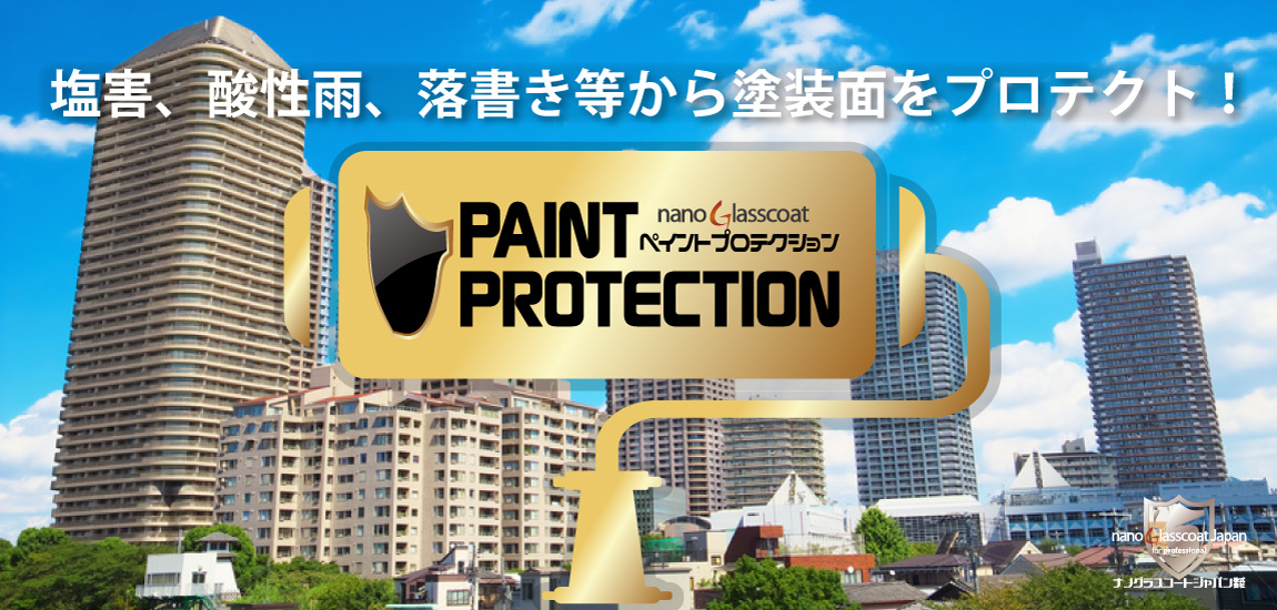 0top_paintprotection